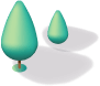 shape